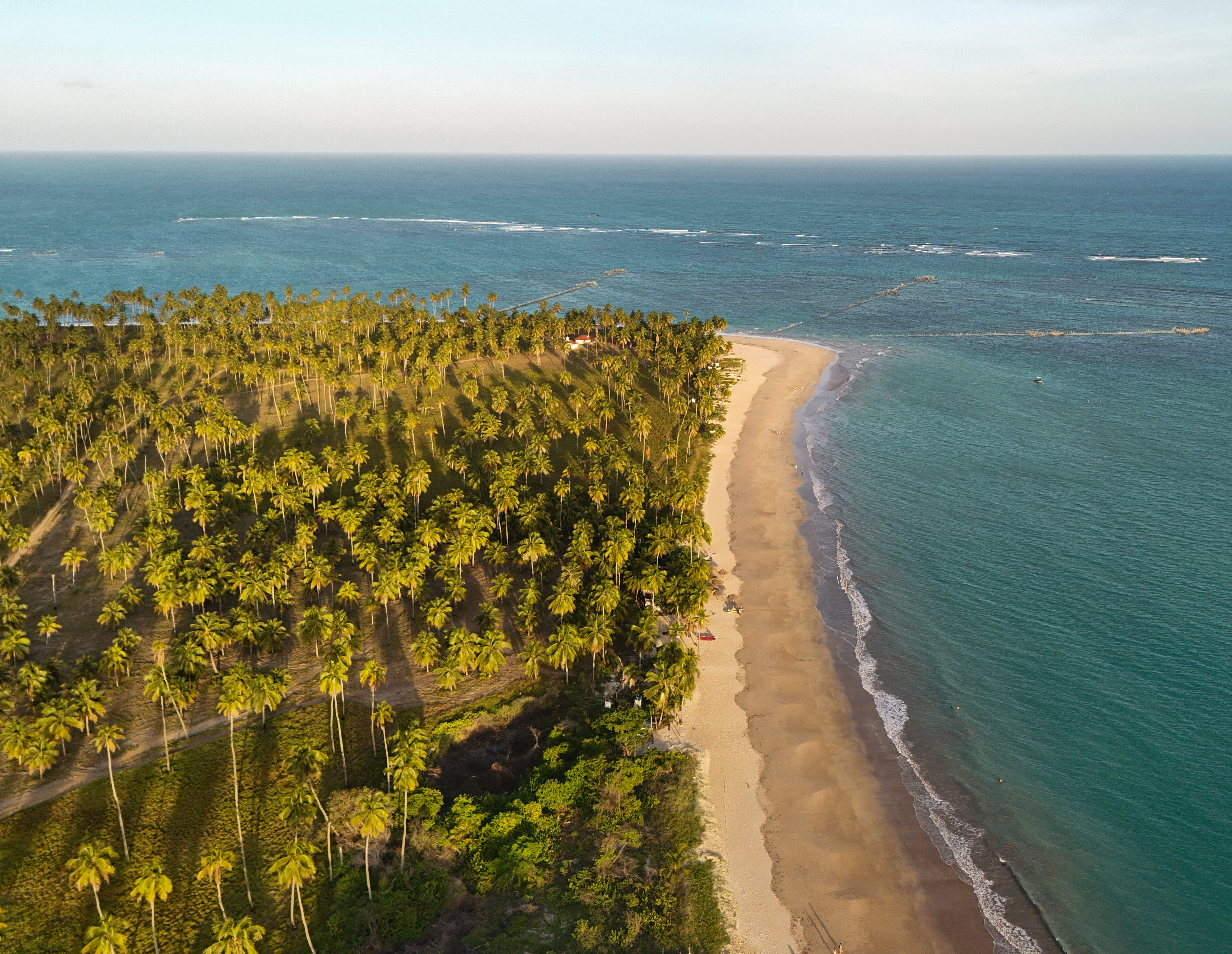 כחול של ים, ירוק של עץ, זהוב של חול...
